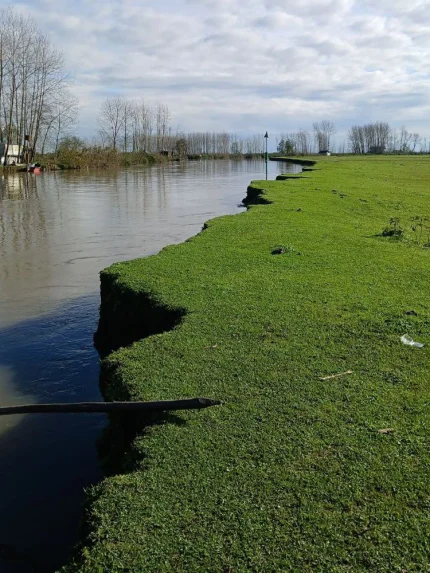 اسکله قایق سواری انزلی